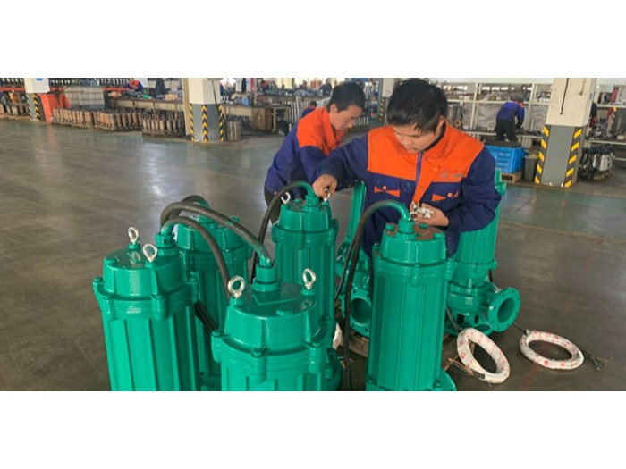 鑄鐵潛水排污泵
